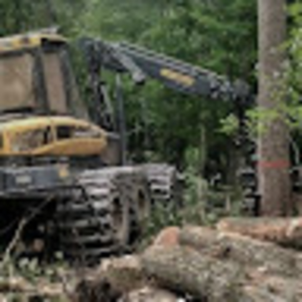 Meet your Posher, Winfred